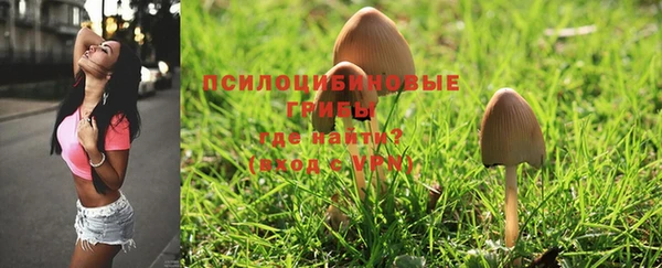 MDMA Premium VHQ Зеленодольск