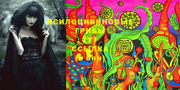 MDMA Premium VHQ Зеленодольск